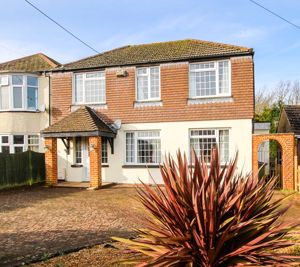 Photo 19- click for photo gallery